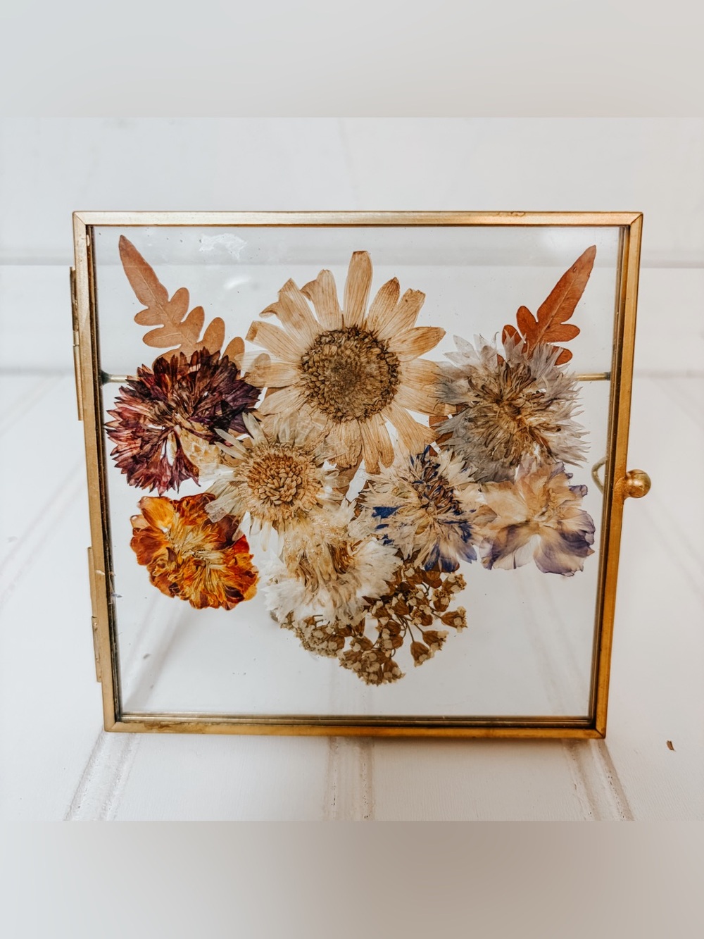 Vintage Pressed Dried Floral Gold Framed Display | MCM
